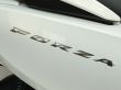 FORZA 300