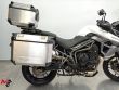 TIGER 800 XRT