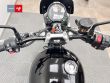 SPEED TWIN 900