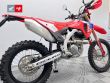 CRF 300 RX