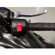 VULCAN S ABS