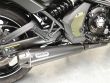 VULCAN S PERFORMANCE  ABS