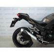 Z 300