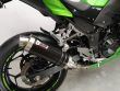 Z 300