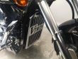 VN 1600 MEAN STREAK