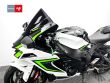 ZX 10R