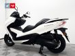 FORZA 300