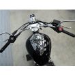 INTRUDER 250 LC