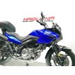 V-STROM 650