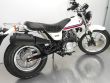 VANVAN 125