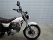 VANVAN 125