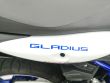 GLADIUS 650