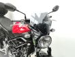 SV 650