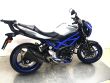 SV 650
