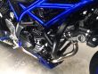 SV 650