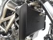 SV 650