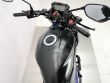 SV 650