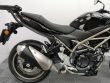 SV 650