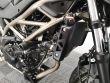 SV 650