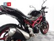SV 650