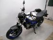 SV 650