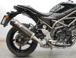 SV 650