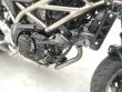 SV 650