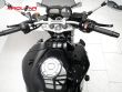 FZ1 N