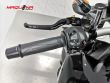 FZ1 N