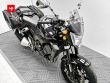 FZ1 N
