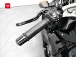 FZ1 N
