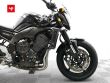 FZ1 N