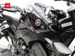 FZ1 N