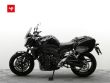 FZ1 N