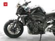 FZ1 N
