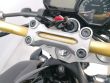FZ1 N