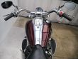 XV 1900 A MIDNIGHT STAR