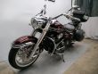 XV 1900 A MIDNIGHT STAR