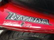 INAZUMA 250