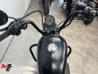 SPORTSTER 883 IRON