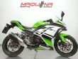 NINJA 300 ABS