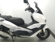 VIESTE 300