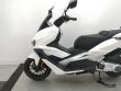 VIESTE 300