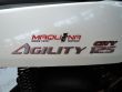AGILITY 125