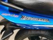 INAZUMA 250