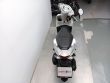VISION 110