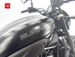 ELIMINATOR 500