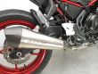 Z 650