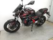 Z 650 PERFORMANCE