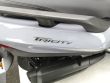 TRICITY 300